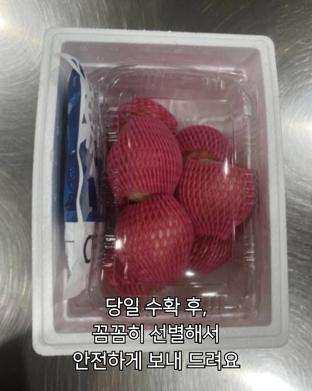 허그쿠션 6