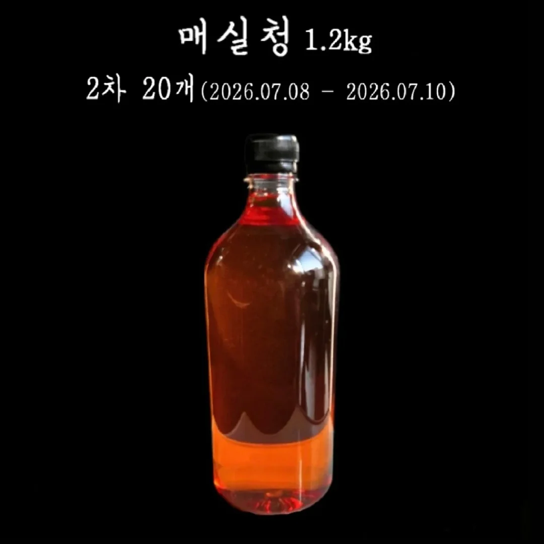 양기모 베어 맨투맨