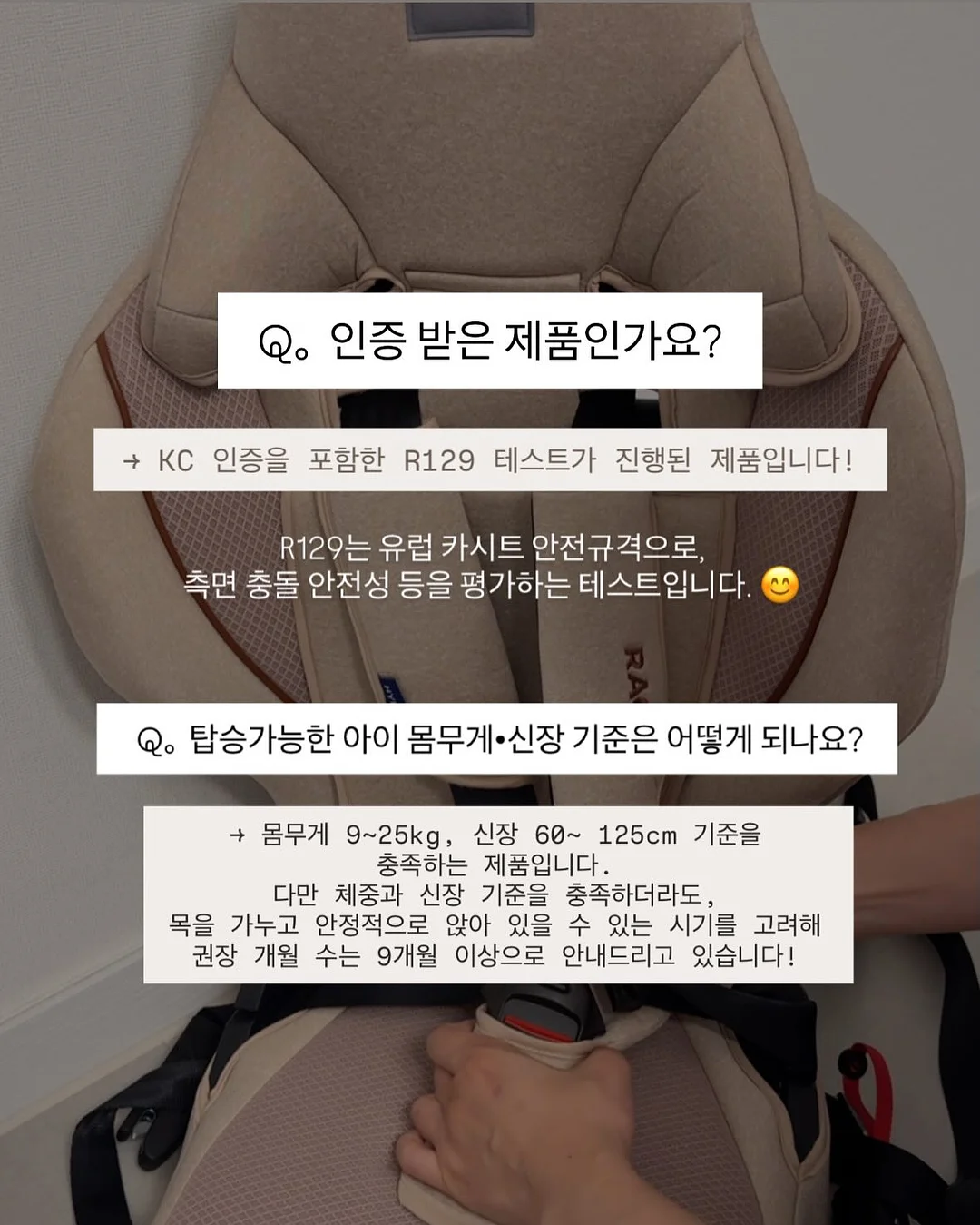 커브형 밀대걸레 6