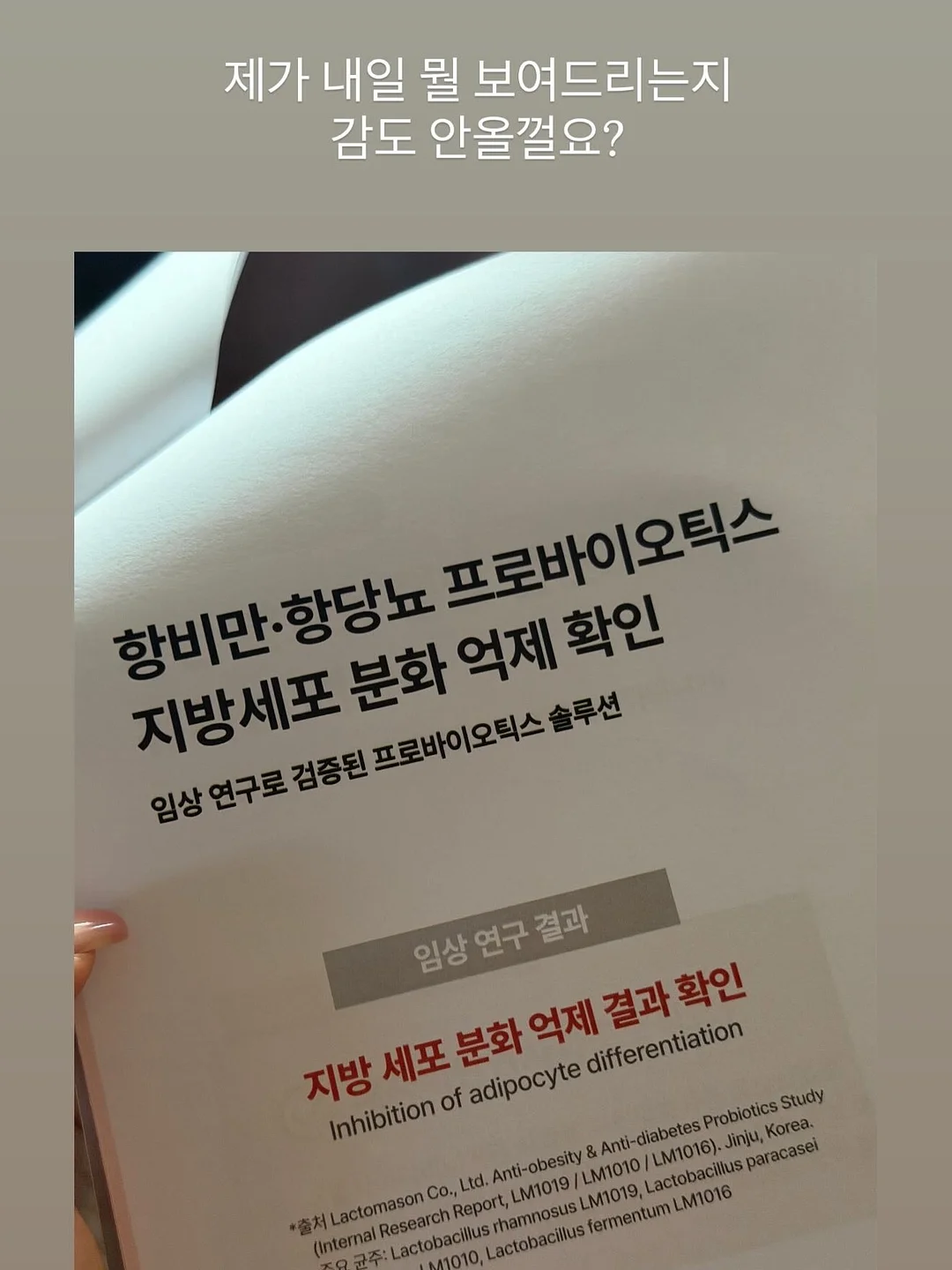 사각팬 3