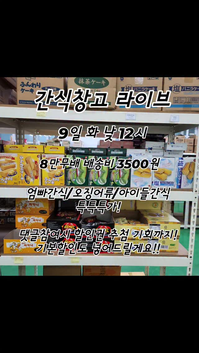 거베라 트레이
