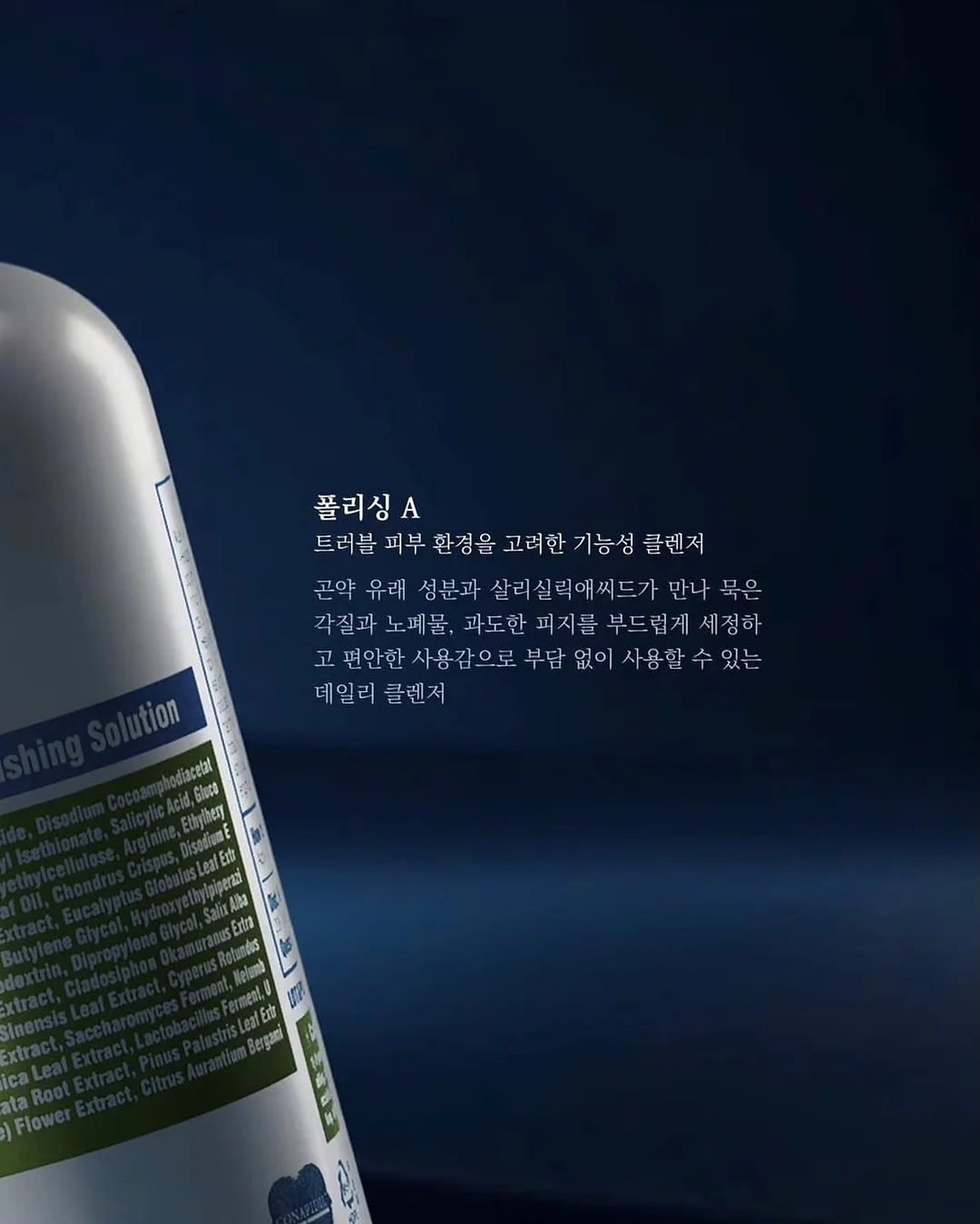 무화과 블러셔 2