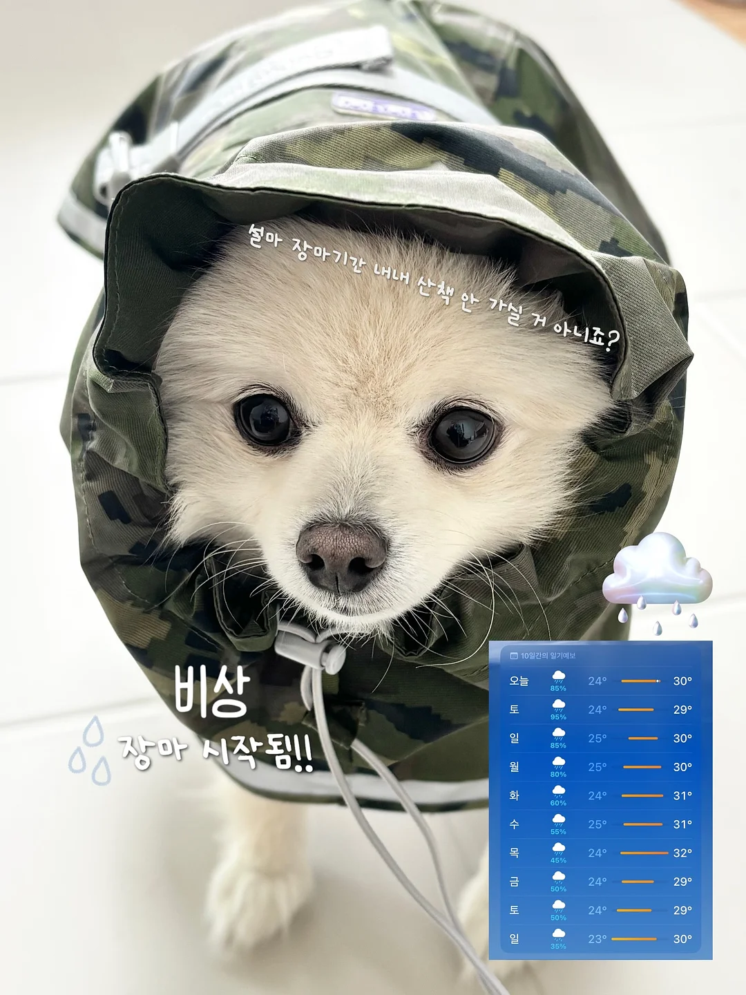 닷닷닷 스티커 1