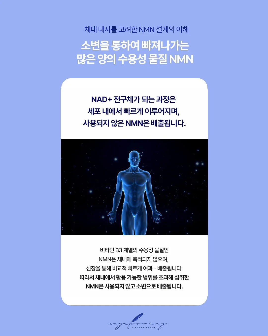 상떼화장품 15