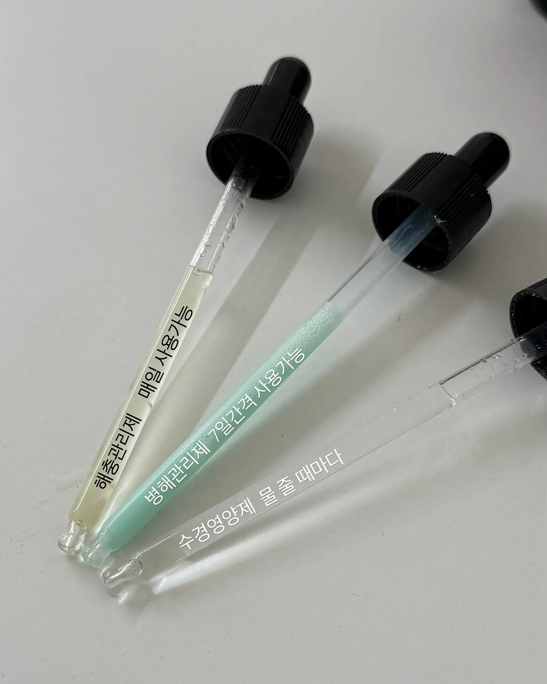 하토토 육회 11