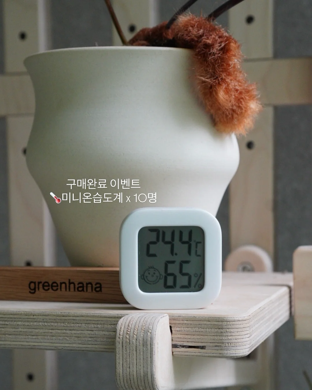 하토토 육회 12