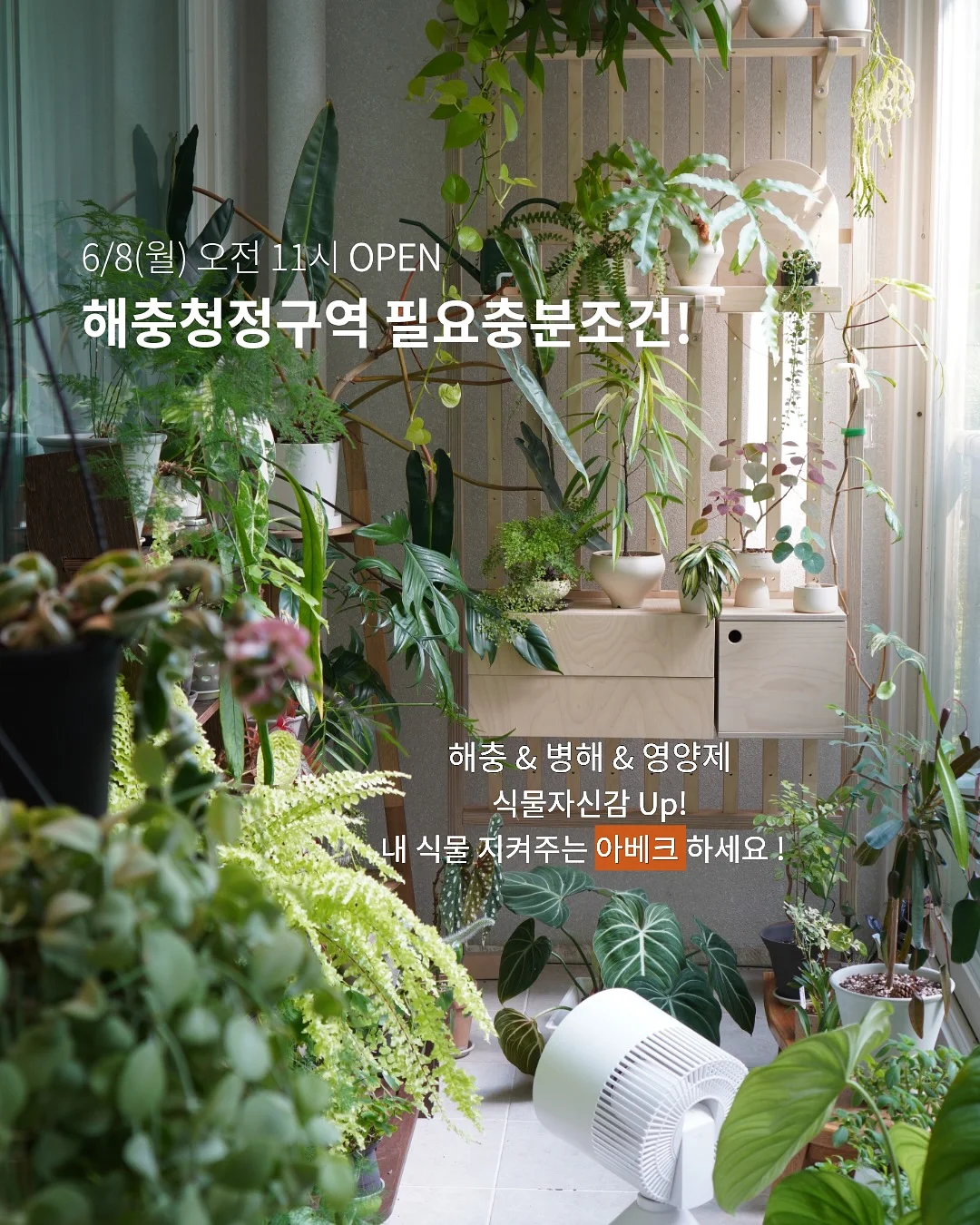 하토토 육회 14