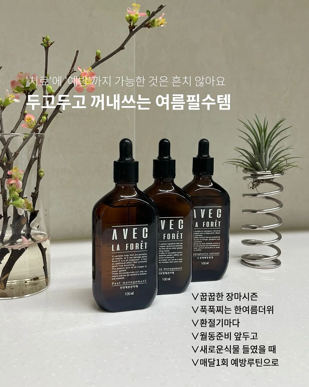 하토토 육회 2