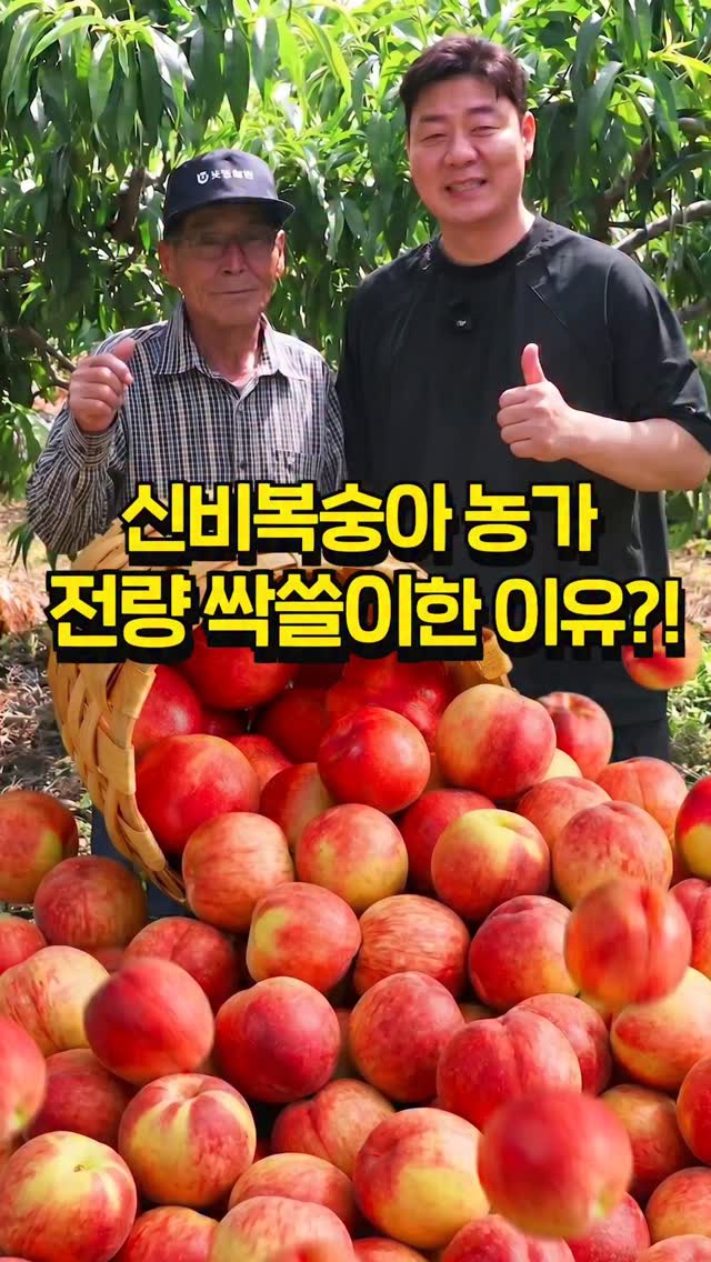 가야 글라스 550ml