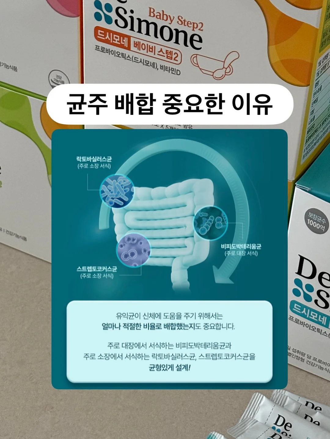 롯지 어스 양말 13