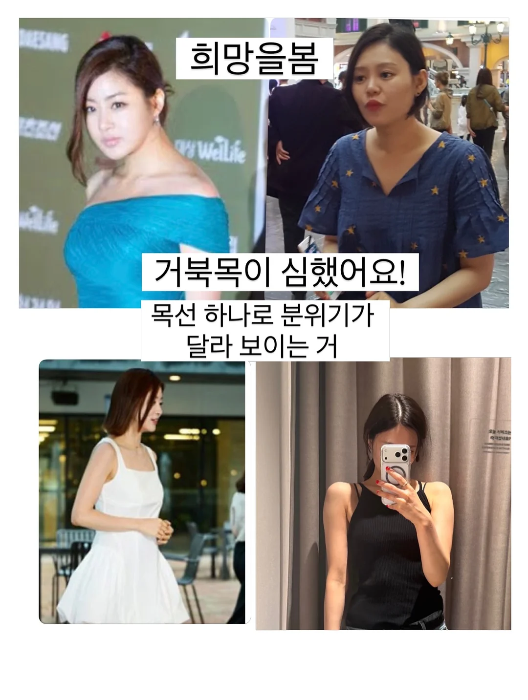 강아지 쿨매트 1