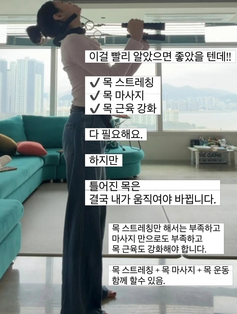 강아지 쿨매트 12