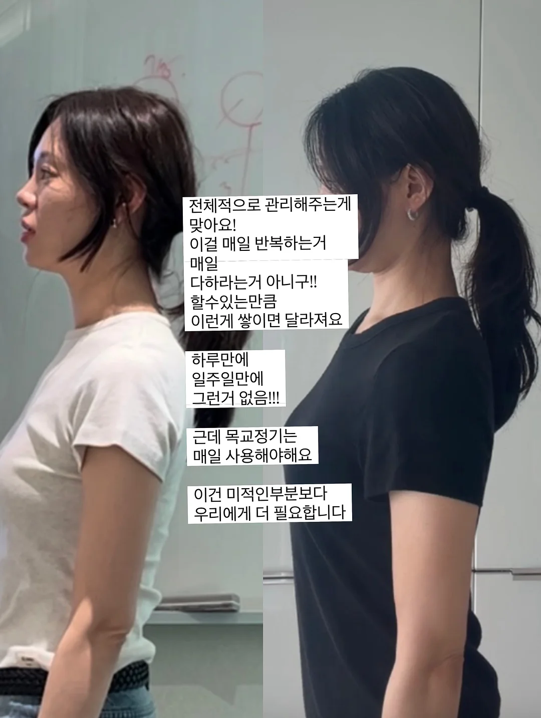 강아지 쿨매트 14