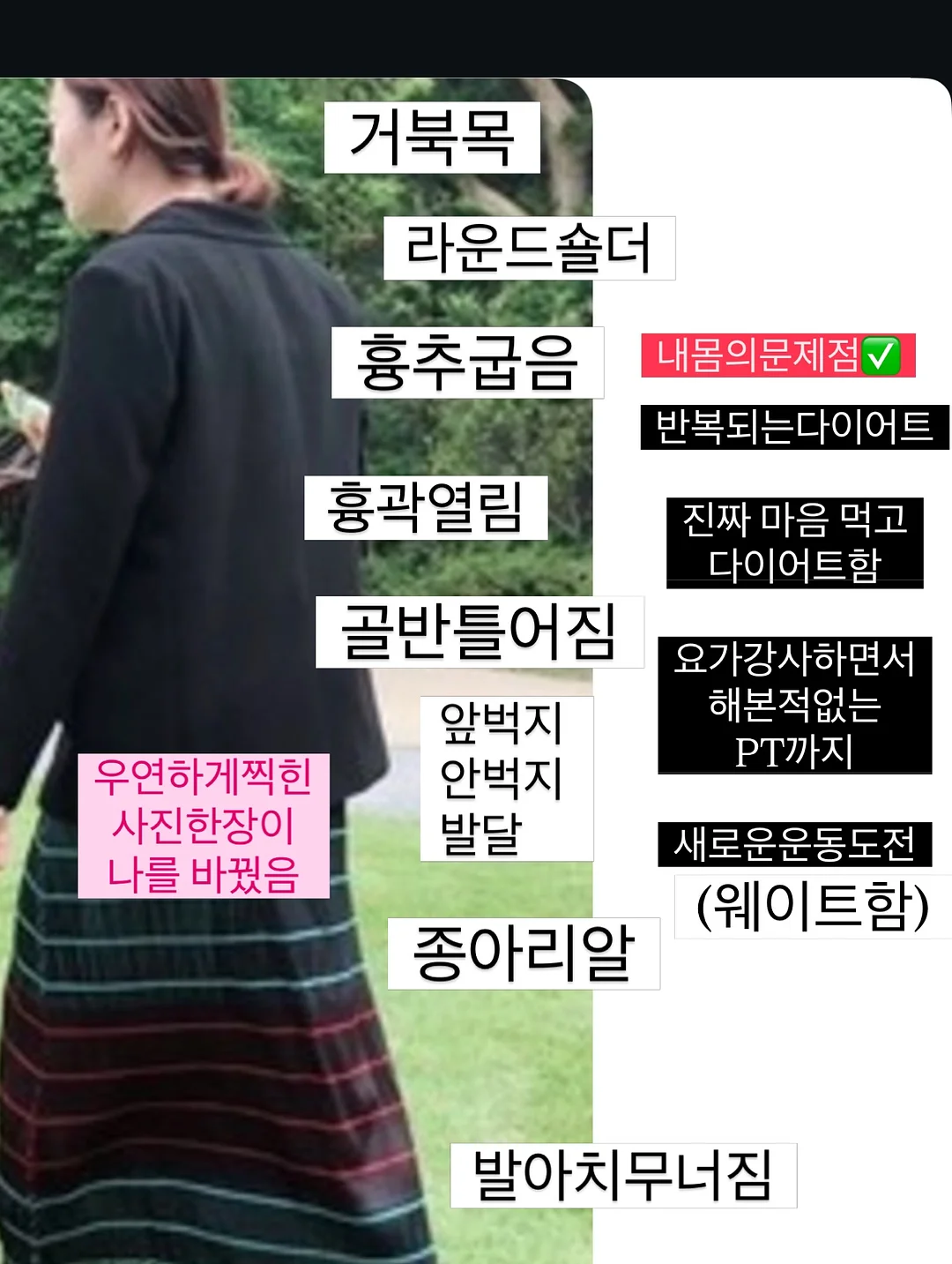 강아지 쿨매트 3