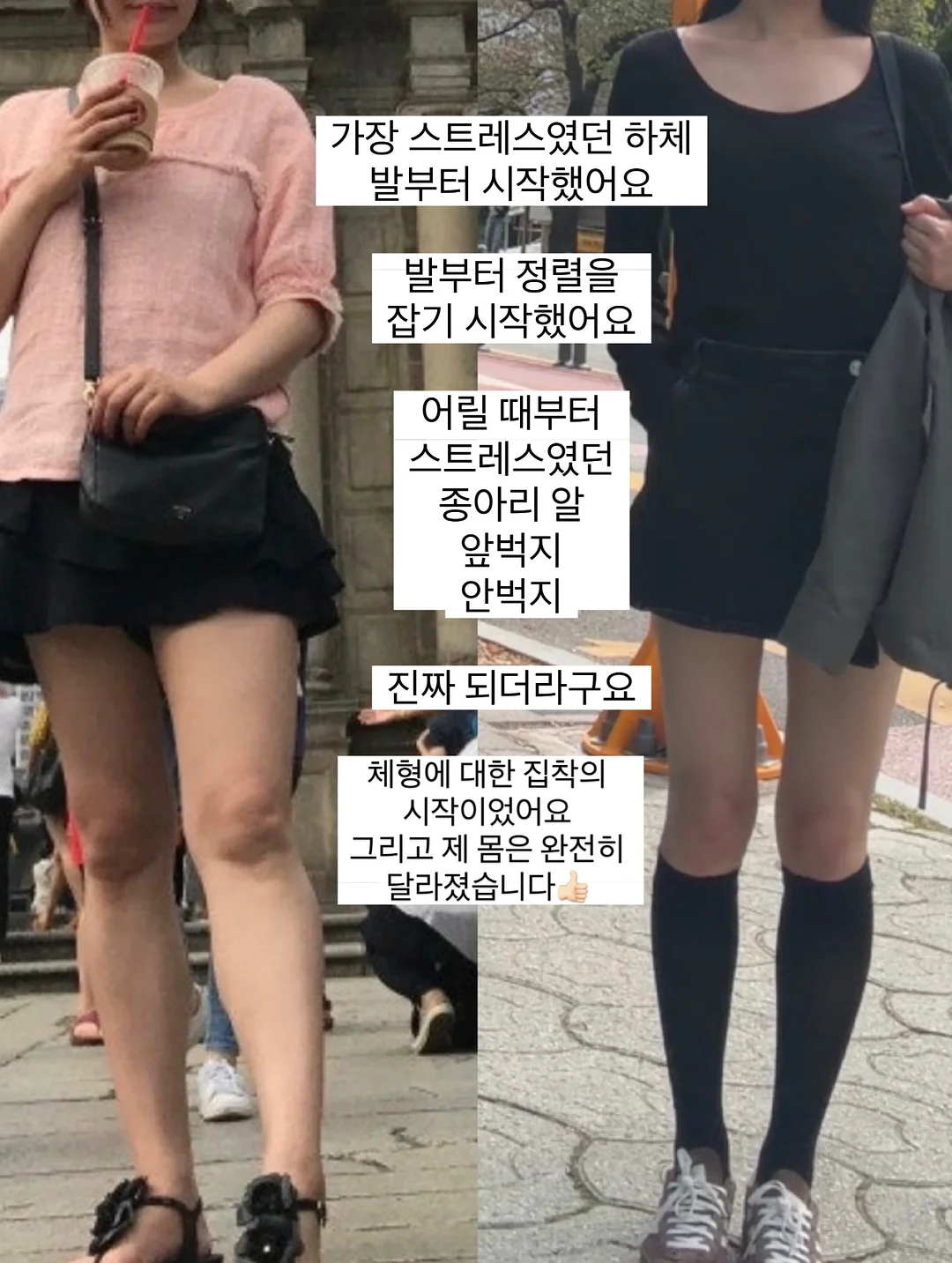 강아지 쿨매트 4