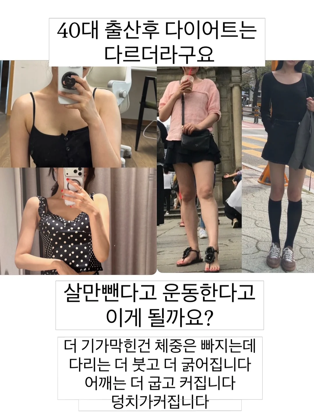 강아지 쿨매트 5