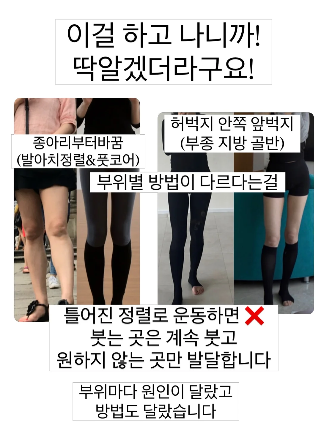 강아지 쿨매트 6