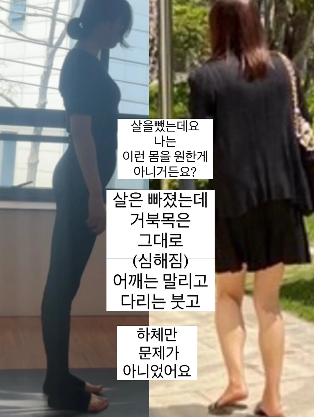 강아지 쿨매트 7