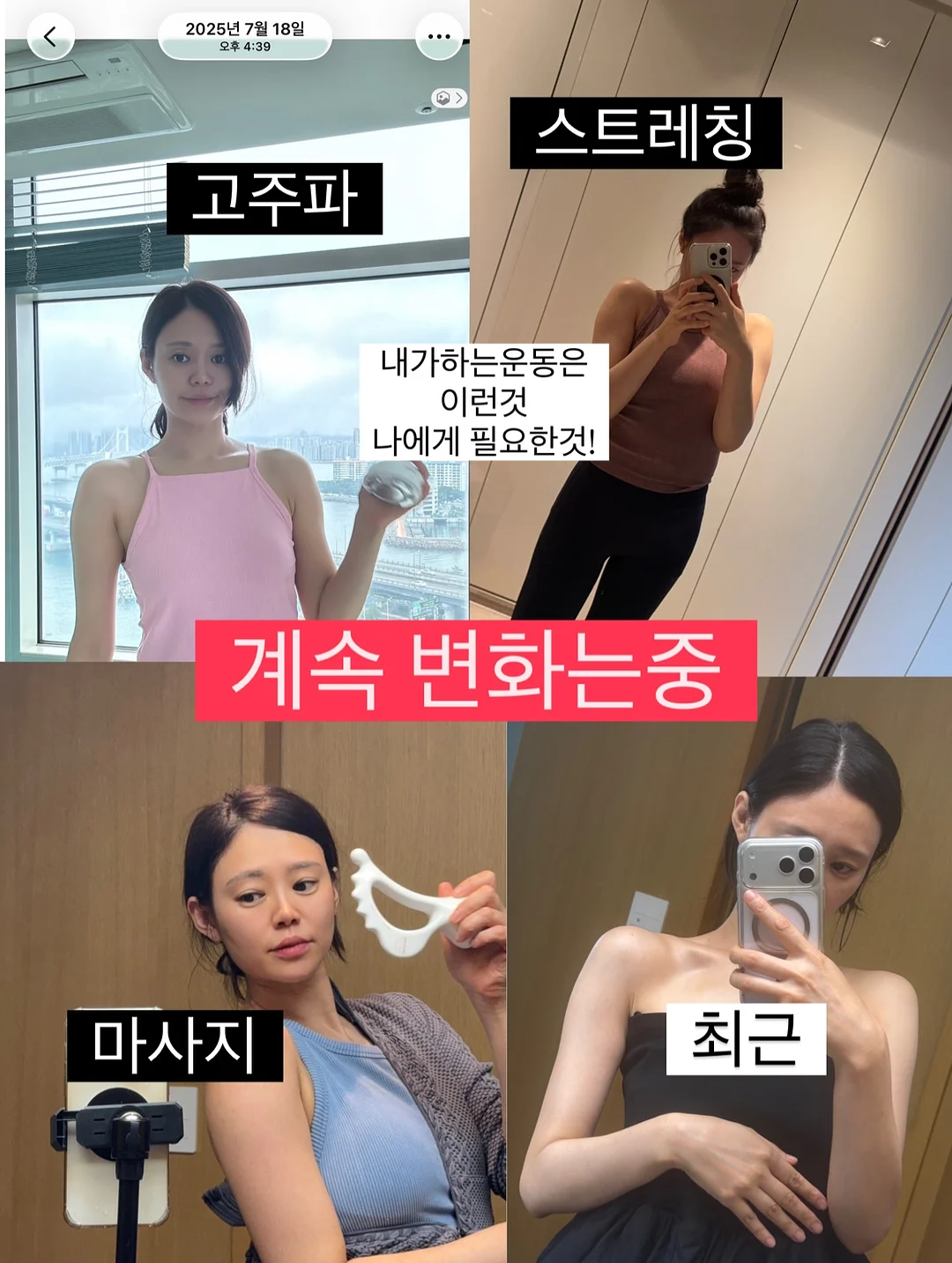 강아지 쿨매트 9