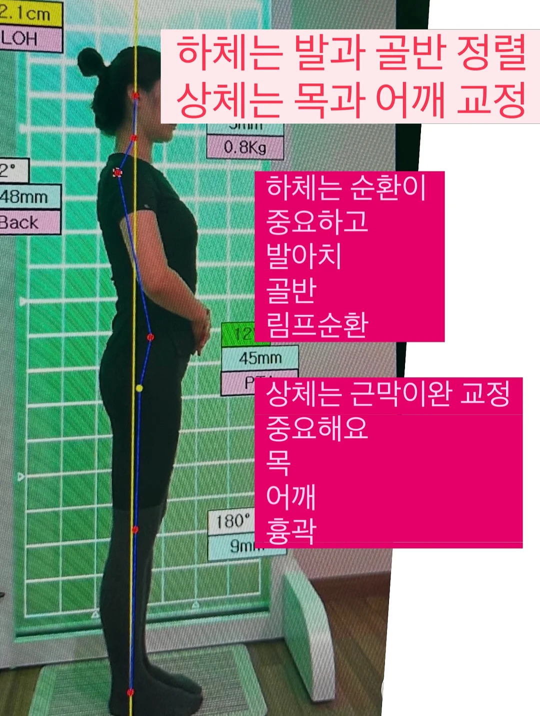 강아지 쿨매트 10