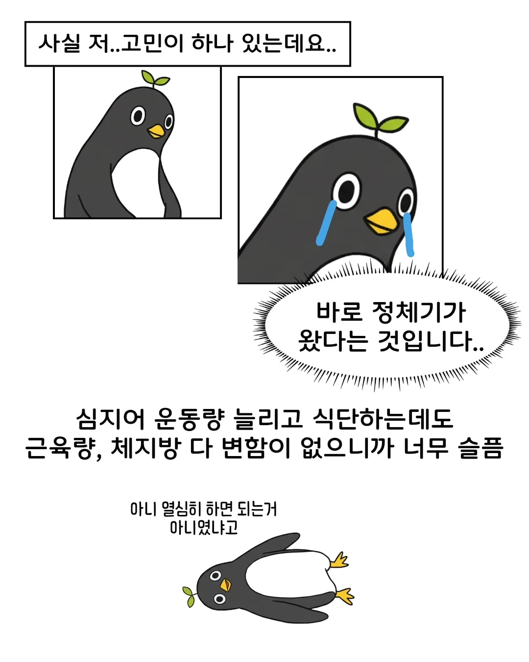 연어 스노우보드 2