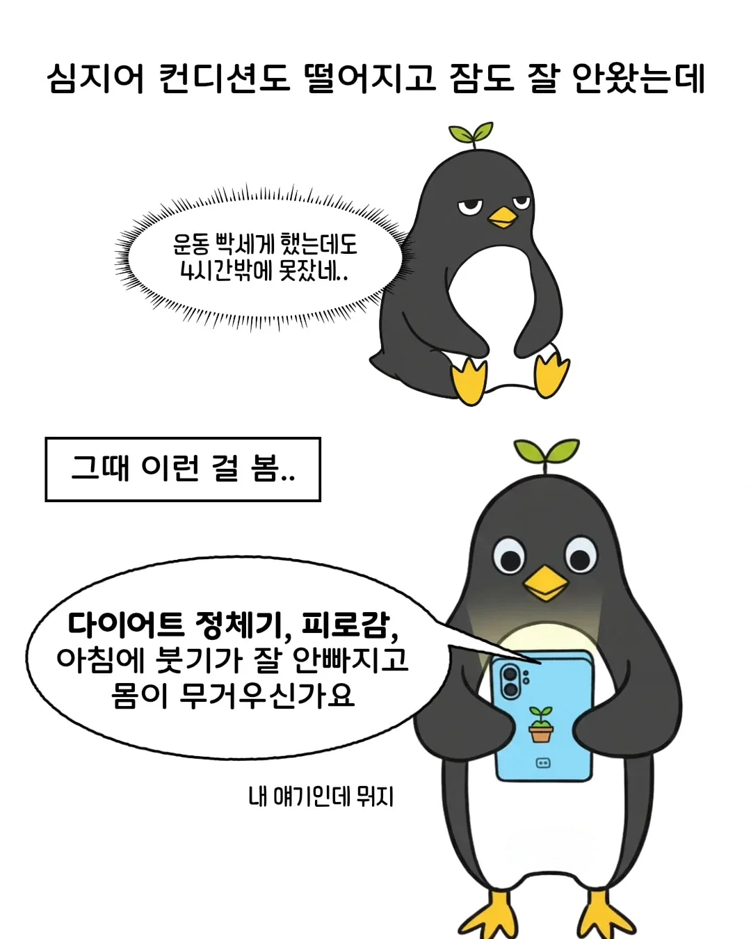 연어 스노우보드 3