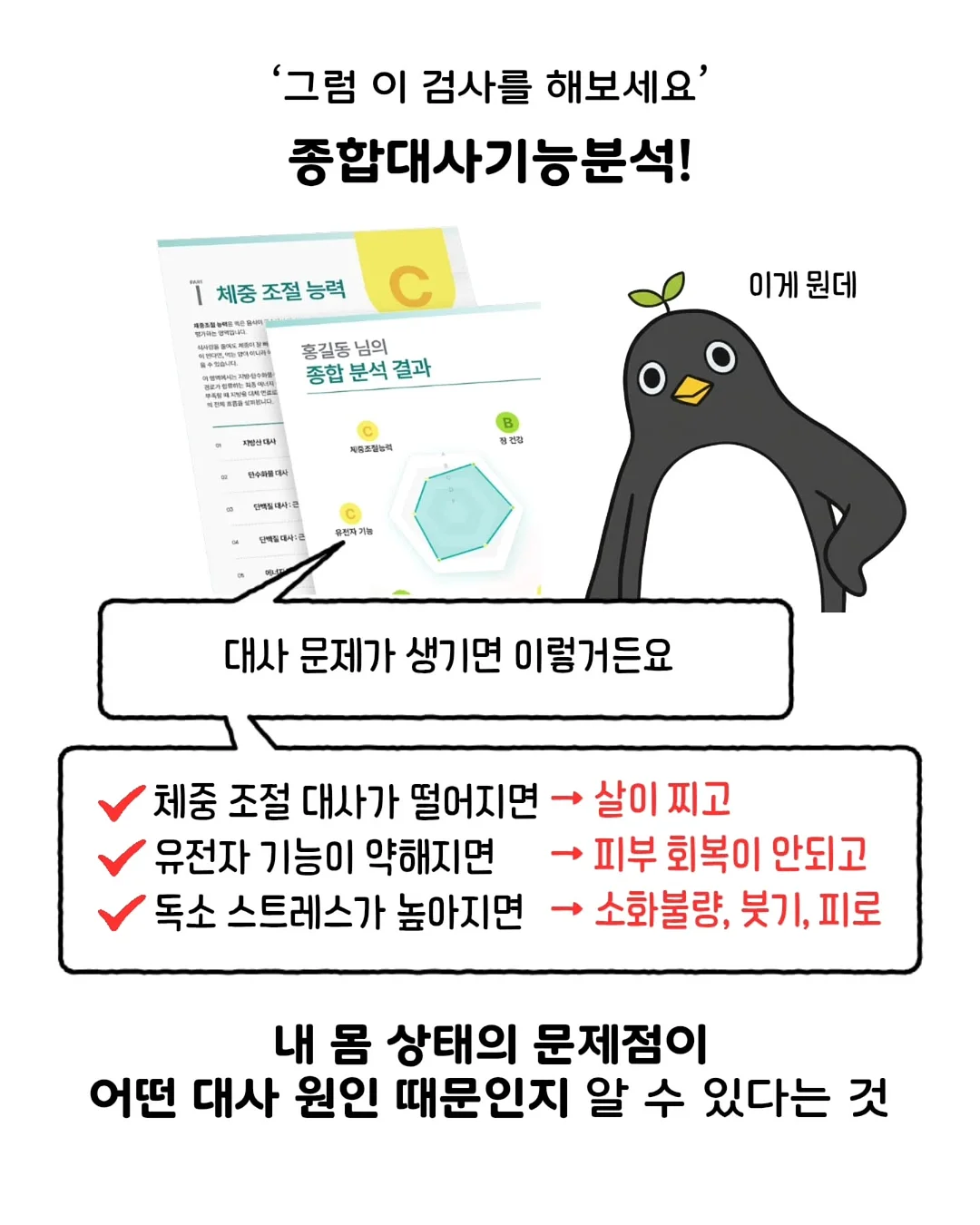 연어 스노우보드 4
