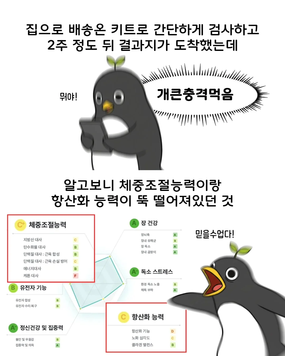 연어 스노우보드 5