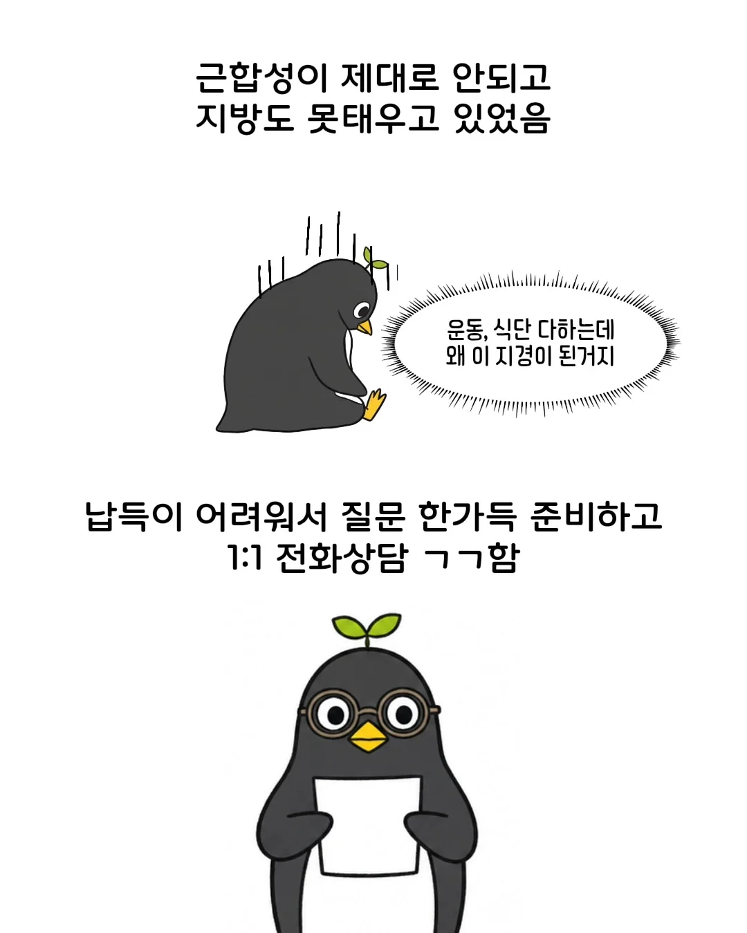 연어 스노우보드 6