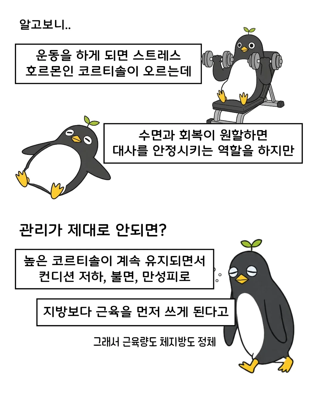 연어 스노우보드 8