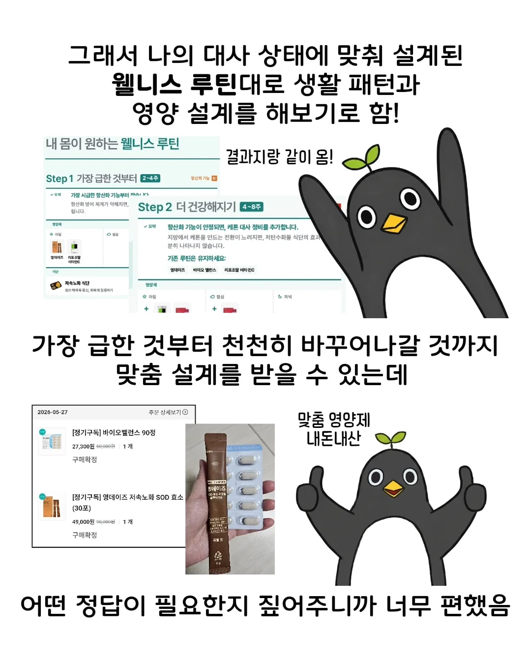연어 스노우보드 9