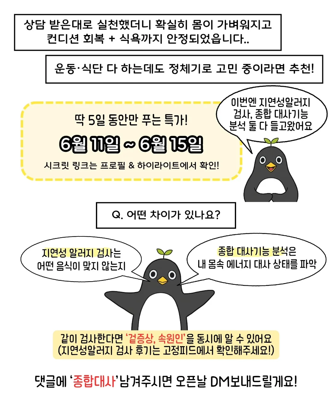 연어 스노우보드 10