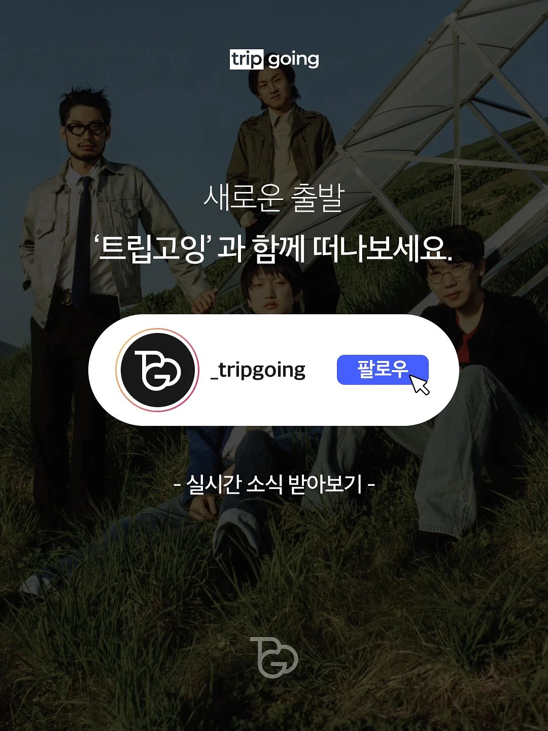 보험금 4