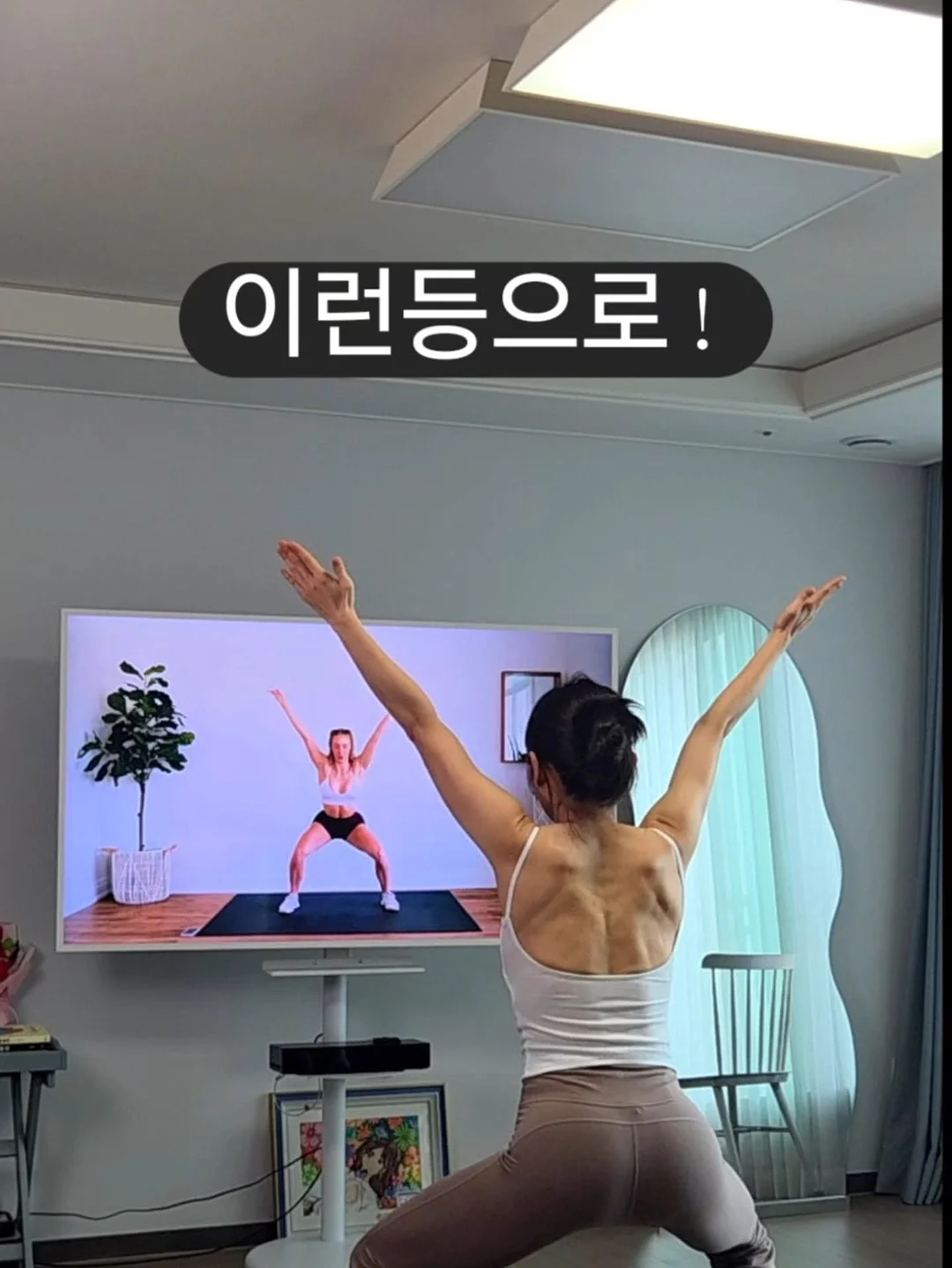 제트비반팔 2