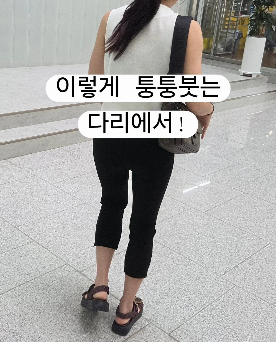 제트비반팔 3
