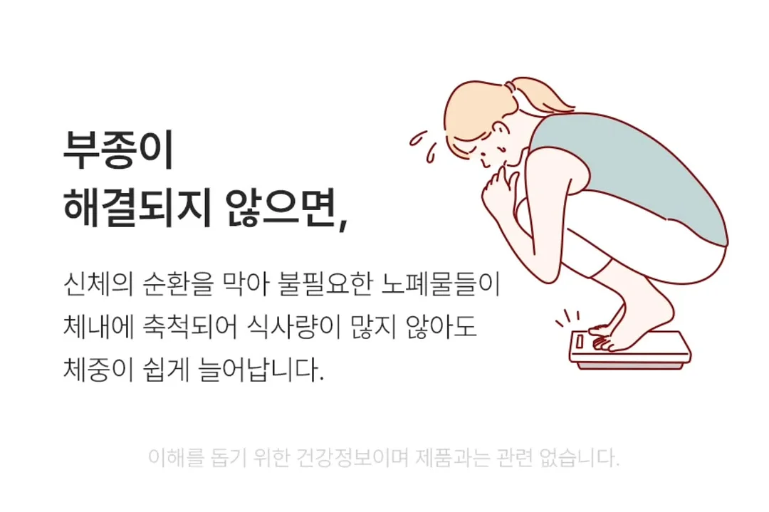 제트비반팔 9