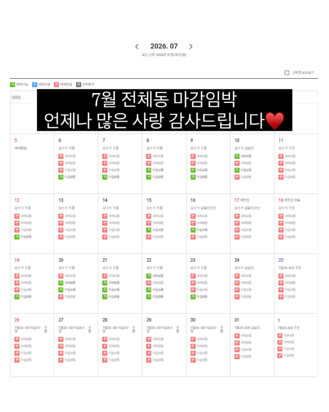 올리브나무