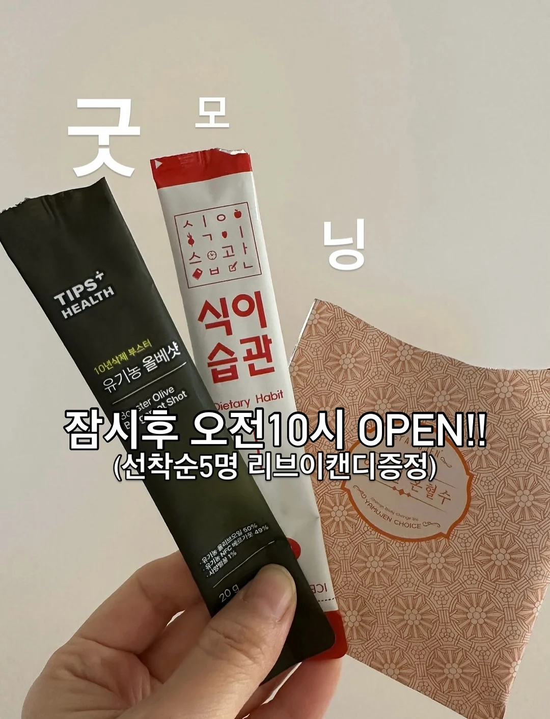 잭슨카멜레온 투모소파 1