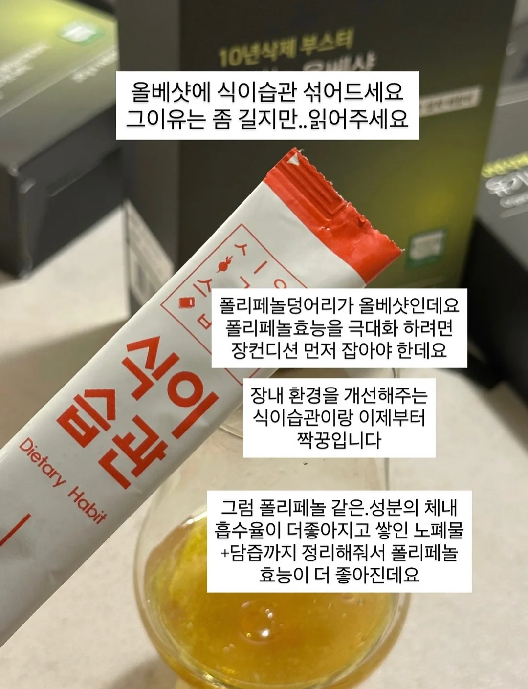 잭슨카멜레온 투모소파 2
