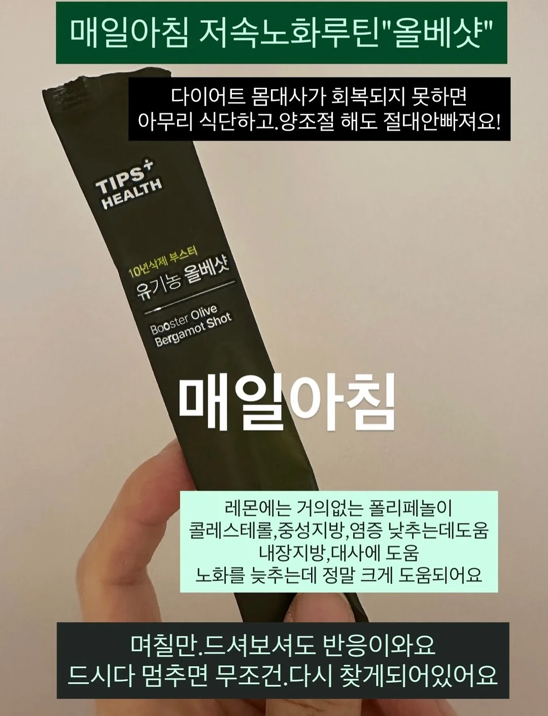 잭슨카멜레온 투모소파 4