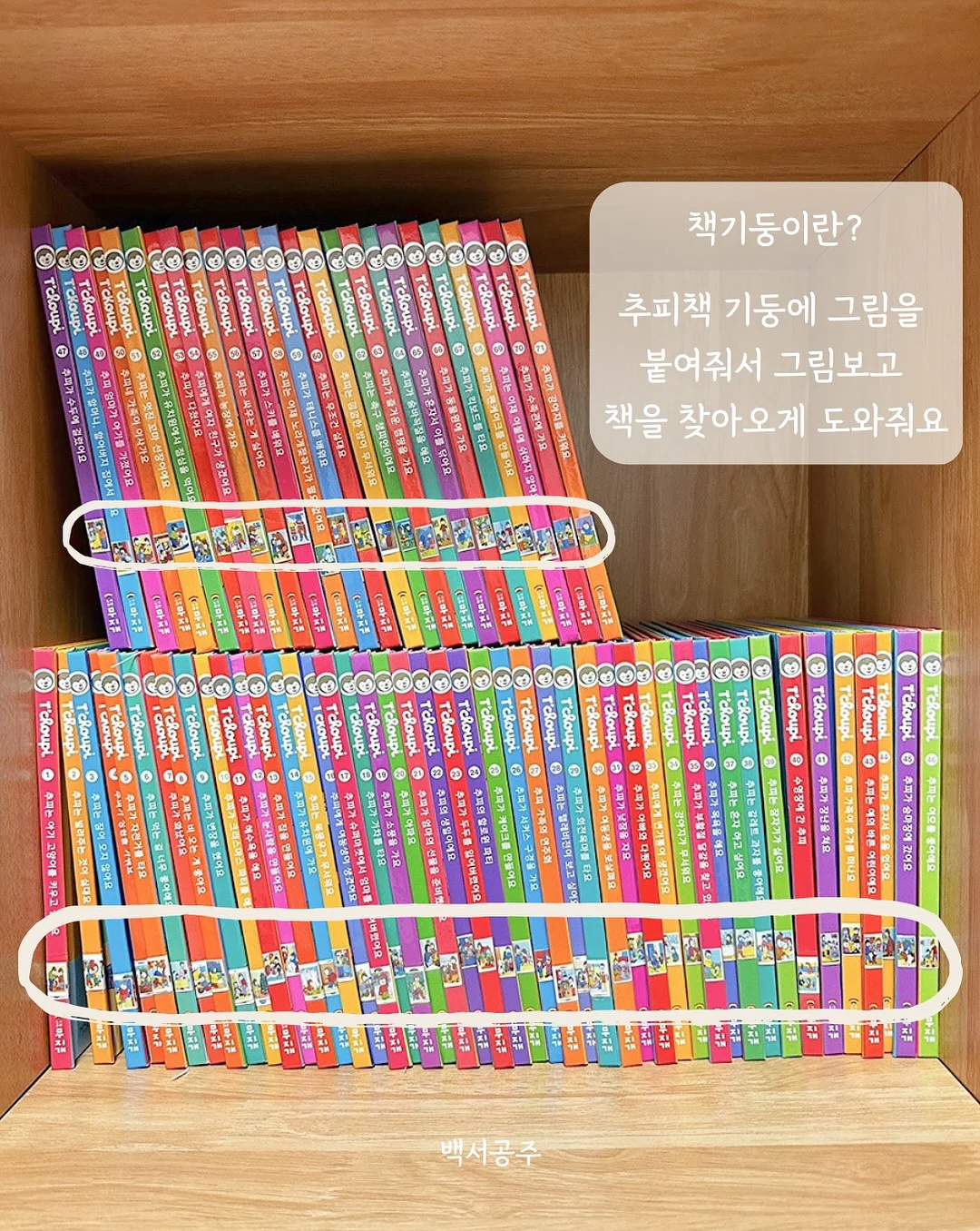 보네오네 4