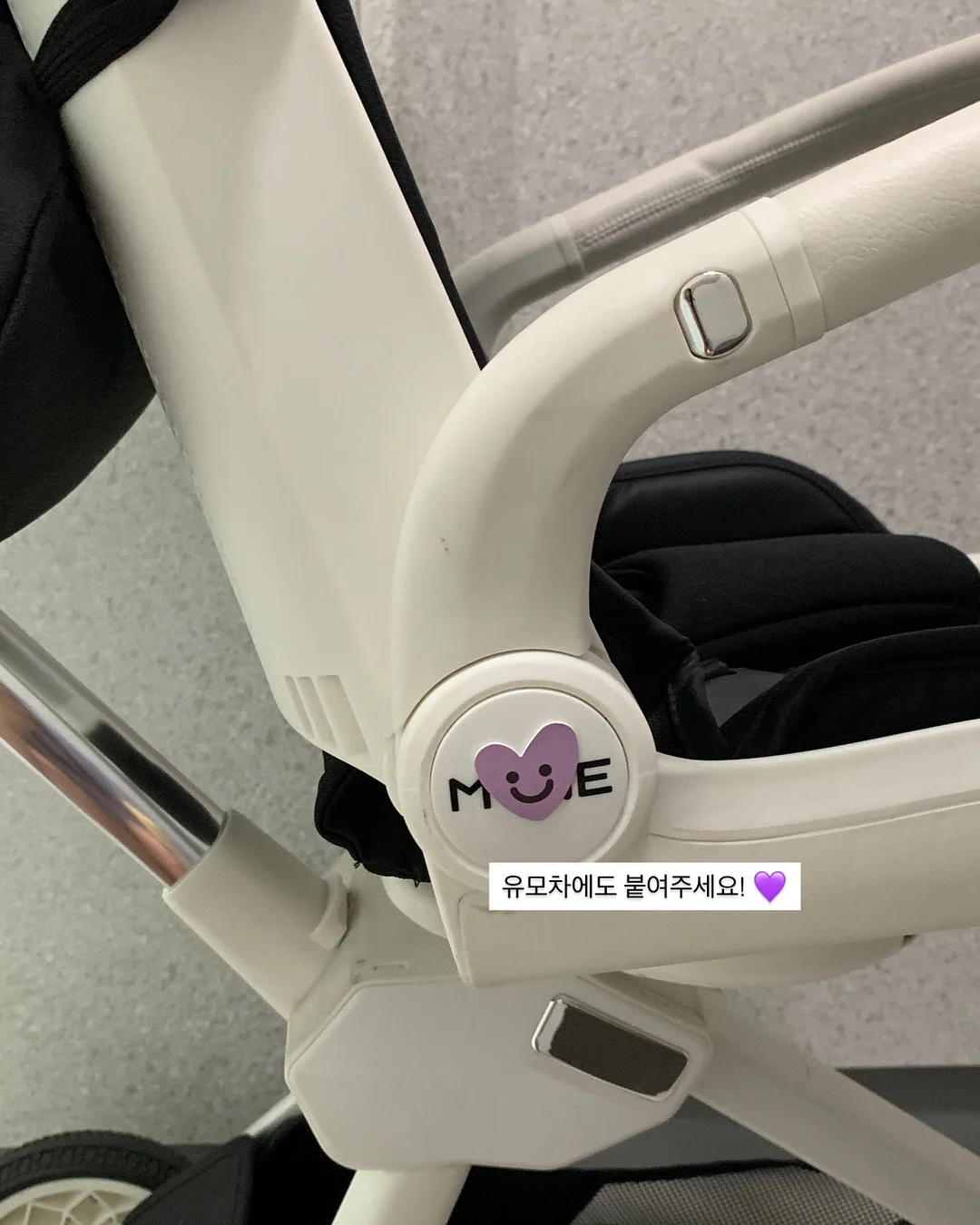 호일 12