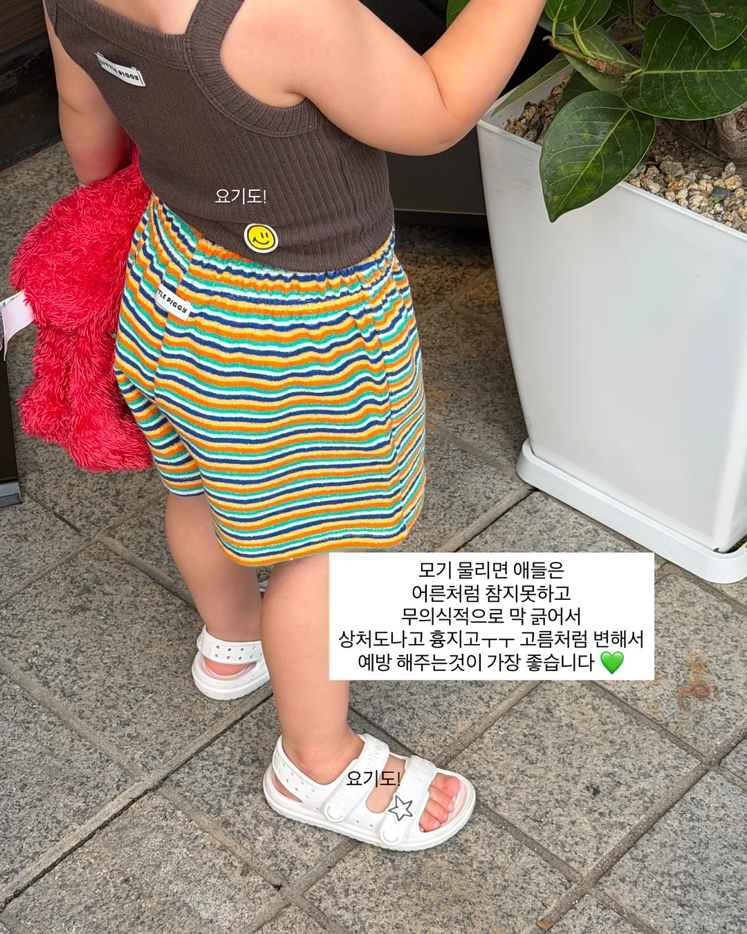 호일 8