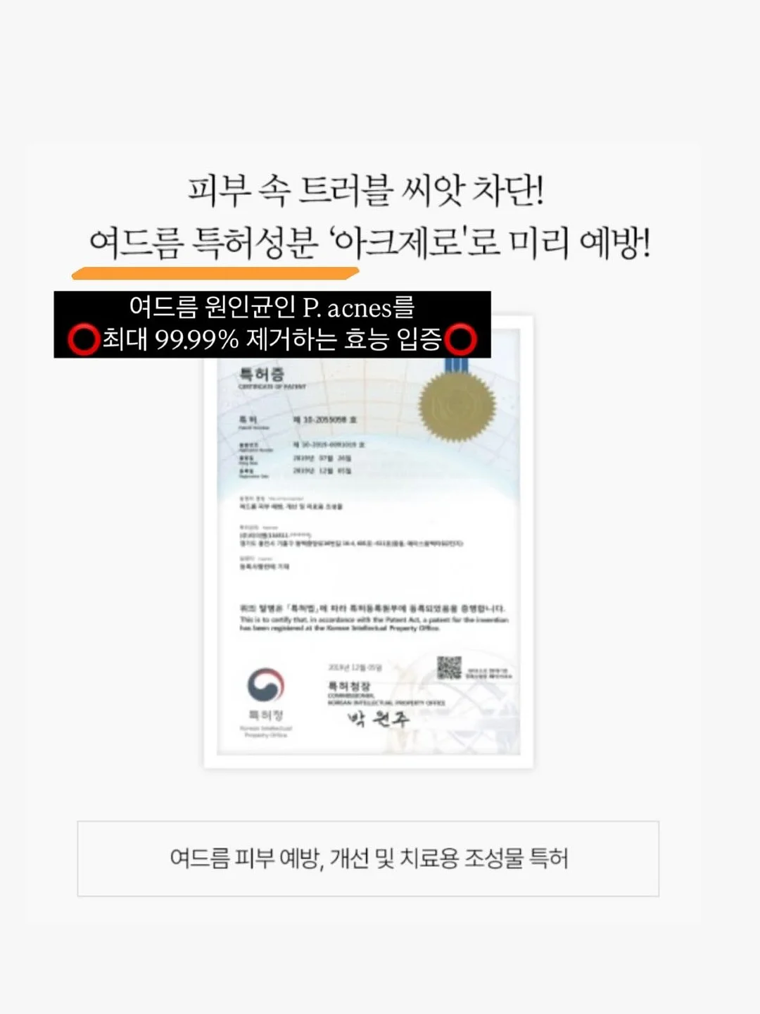 카드지갑파우치 5