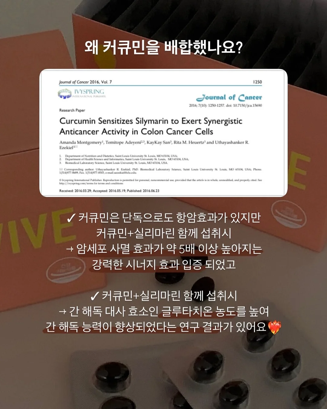 태양광 전구 13