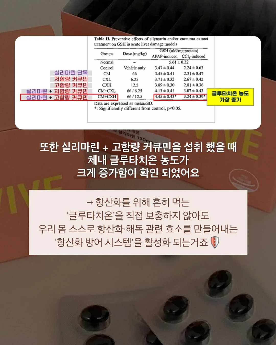 태양광 전구 14