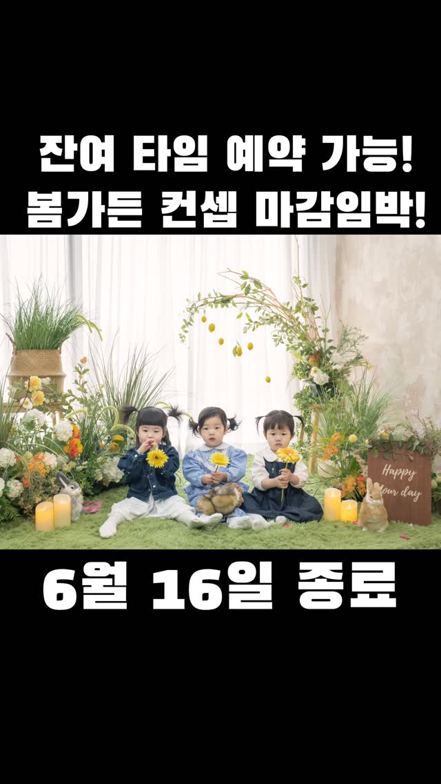 미샵 루시엘 레드 카라 반팔 니트