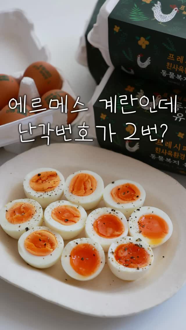 장세은 성우 강의
