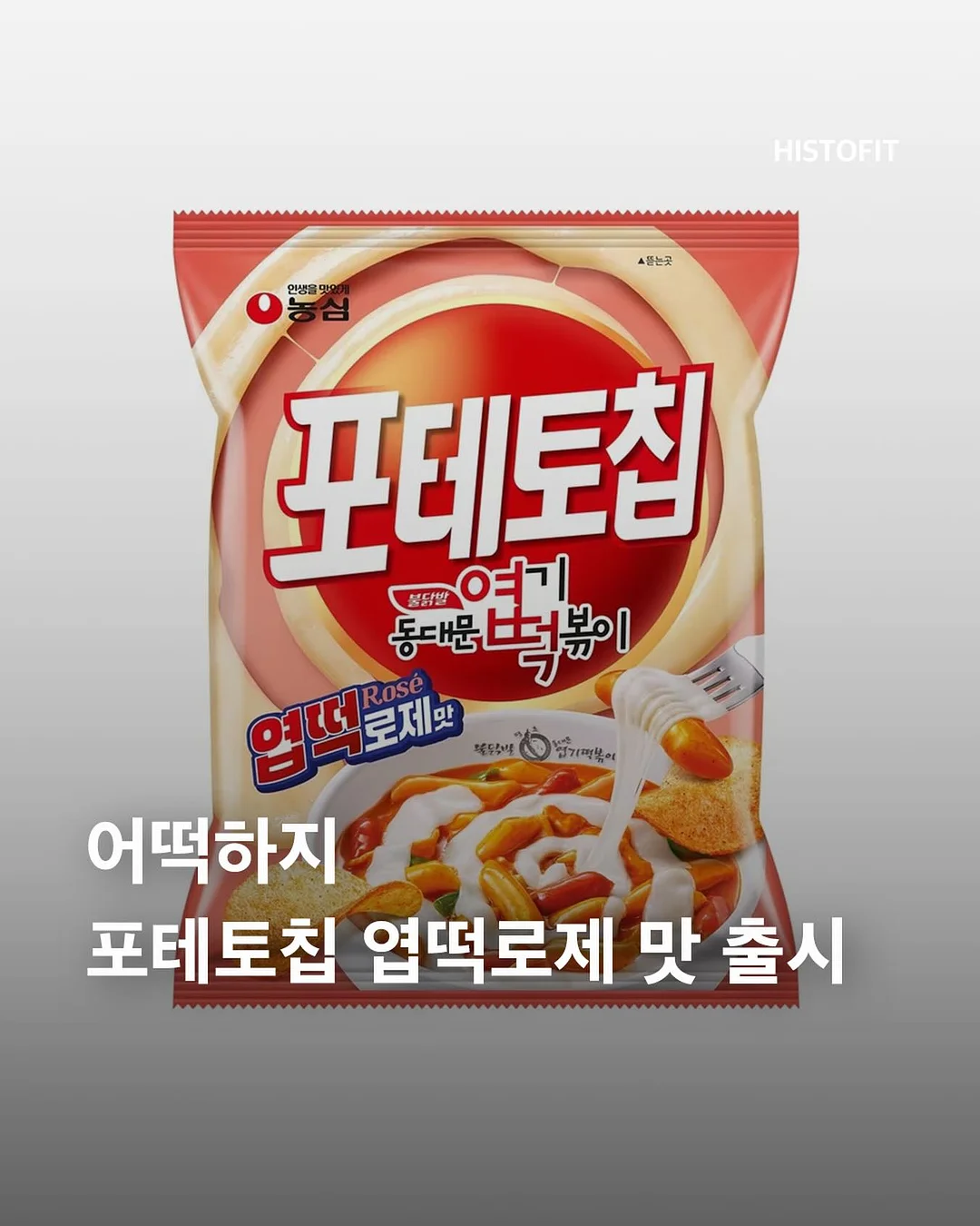 틈새 보수제