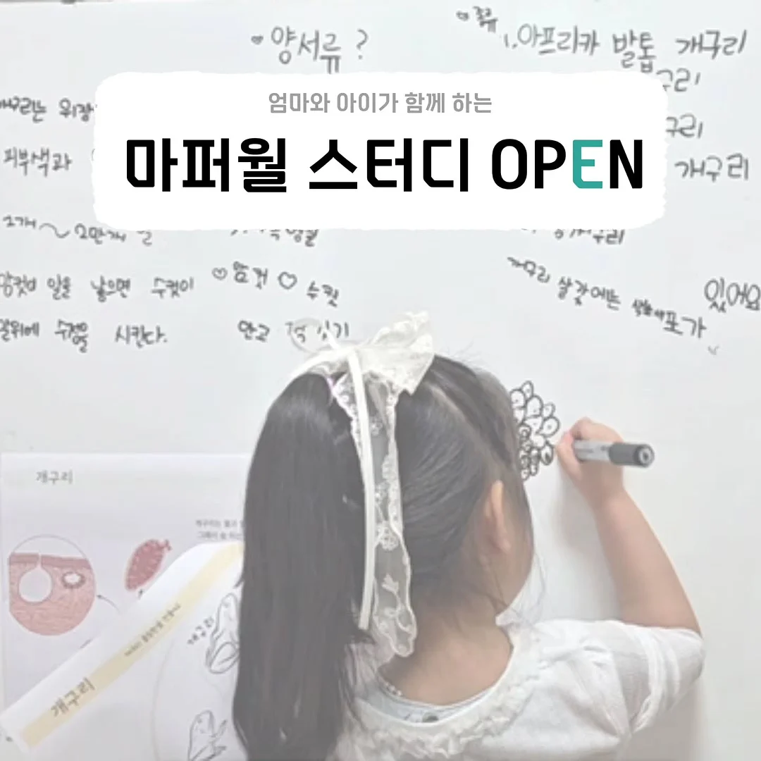 현관문 안전고리 1